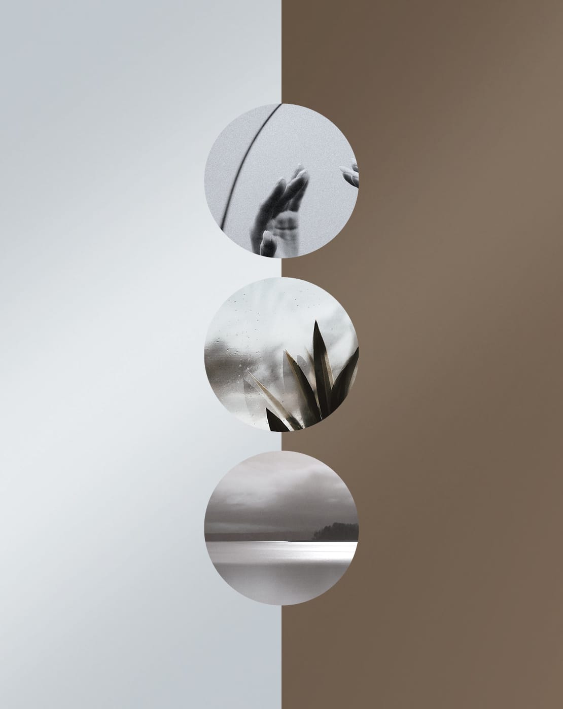 Mirrors